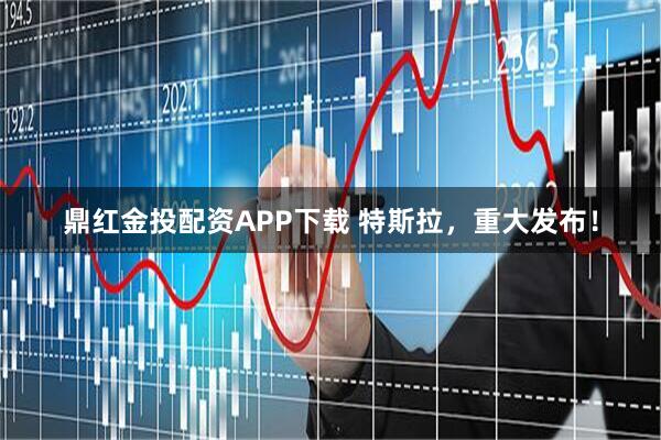 鼎红金投配资APP下载 特斯拉，重大发布！