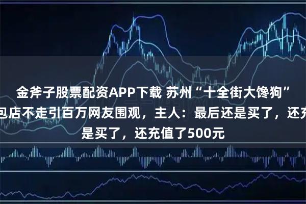金斧子股票配资APP下载 苏州“十全街大馋狗”火了！赖面包店不走引百万网友围观，主人：最后还是买了，还充值了500元