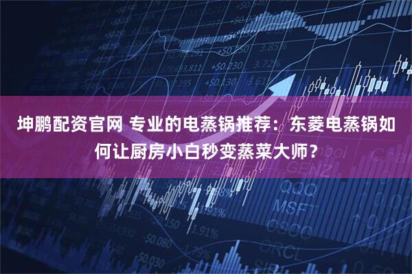 坤鹏配资官网 专业的电蒸锅推荐：东菱电蒸锅如何让厨房小白秒变蒸菜大师？