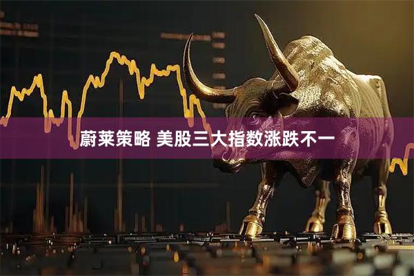 蔚莱策略 美股三大指数涨跌不一